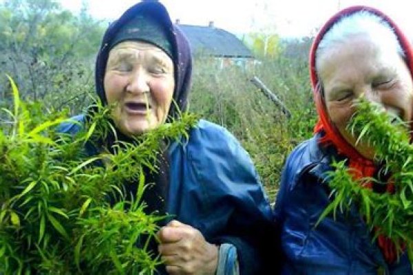 Купить наркотики онлайн